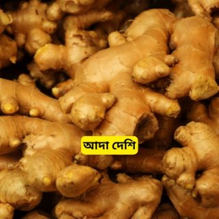 Ada (Ginger Local)/আদা দেশি