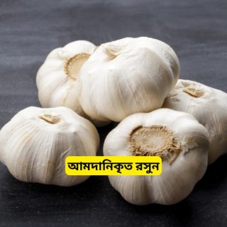 Imported Garlic-আমদানিকৃত রসুন