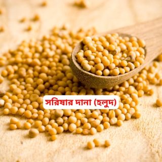 Mustard Seed Yellow-সরিষার দানা হলুদ