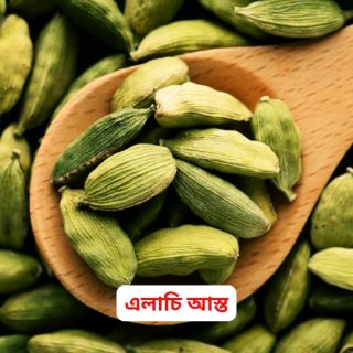 cardamom-elachi-whole-এলাচি-আস্ত